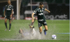 Nhận định, soi kèo Avai vs Palmeiras 2h ngày 27/6/2022