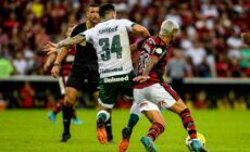 Soi kèo, nhận định Flamengo vs Goias 06h30 ngày 11/05/2023